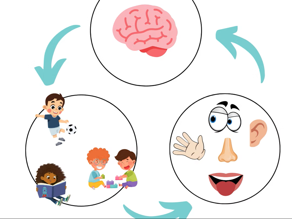 OT for Sensory Processing Disorder in Laketown Kolkata